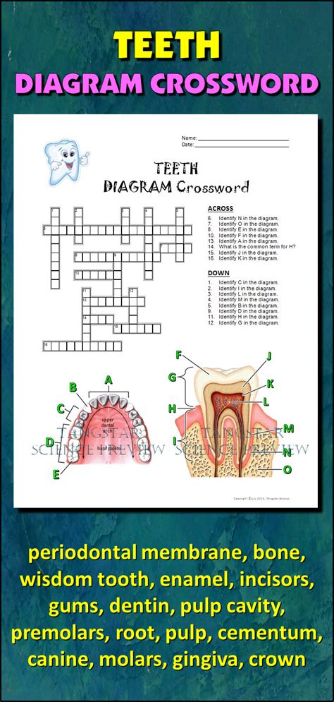 Machine tooth crossword. Things To Know About Machine tooth crossword. 